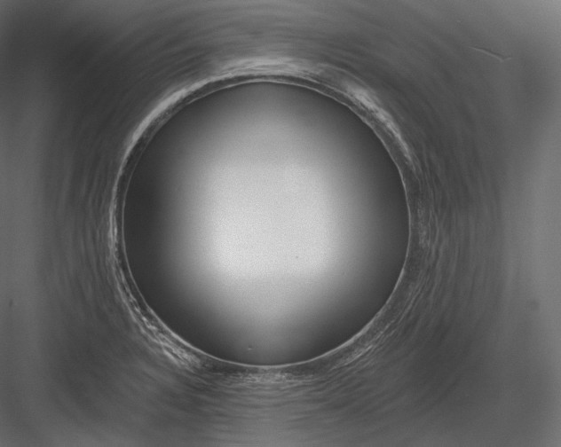 X0000082961328200702222329