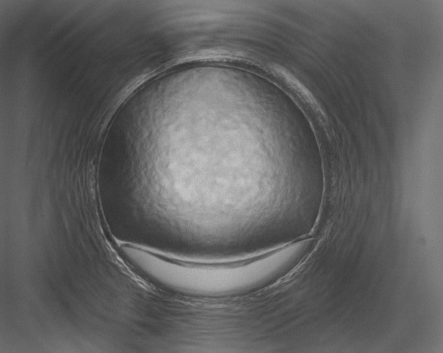 X0000082961329200702222330