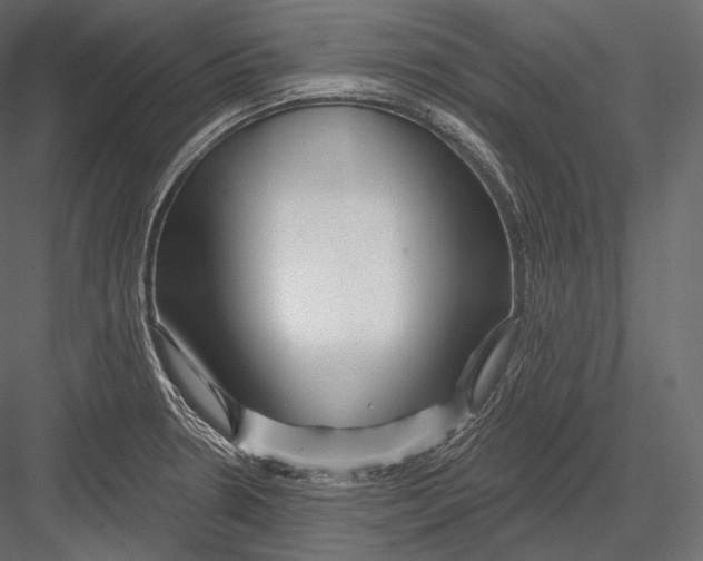 X0000082961330200702222330