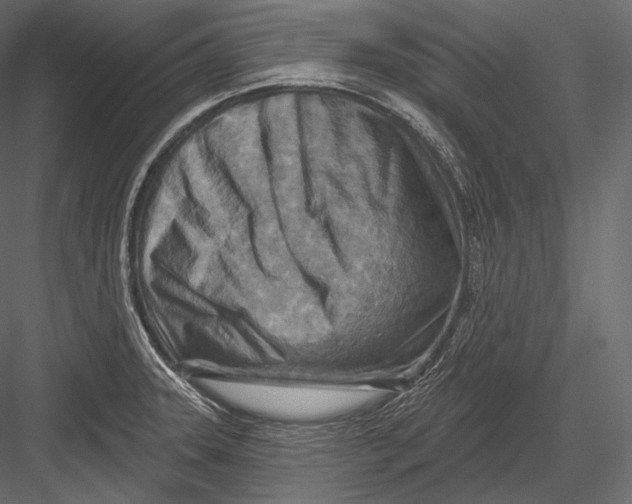 X0000082961331200702222330