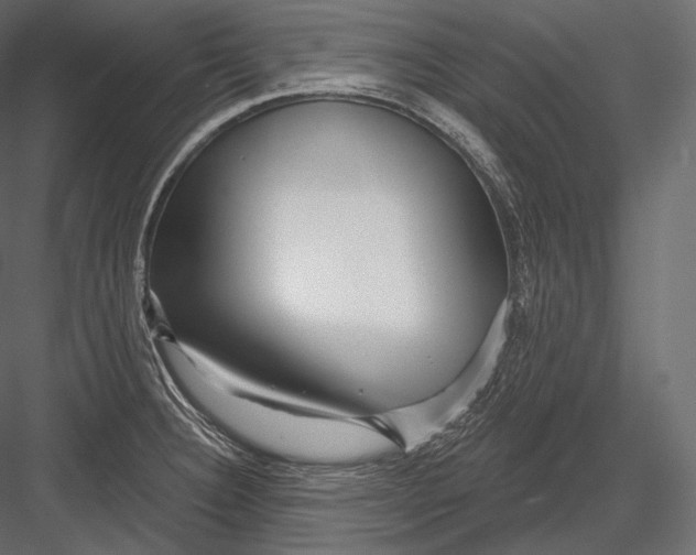 X0000082961332200702222330