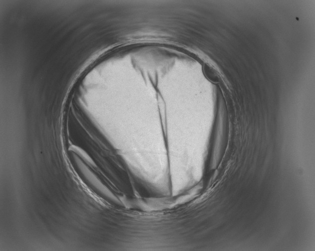 X0000082961333200702222330