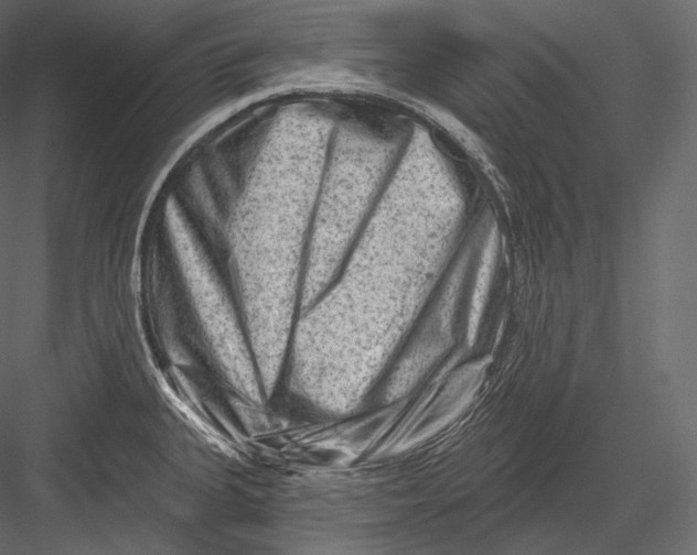 X0000082961335200702222330