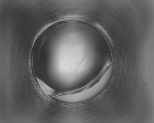 X0000082961336200702222330