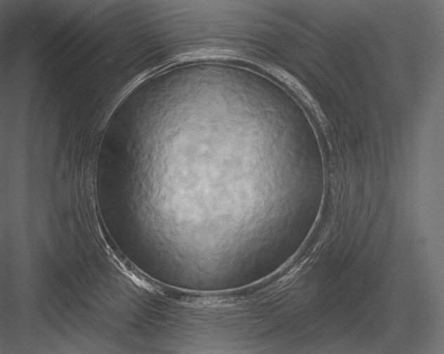 X0000082961337200702222330