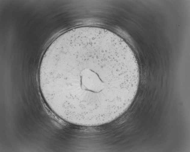 X0000082961338200702222330