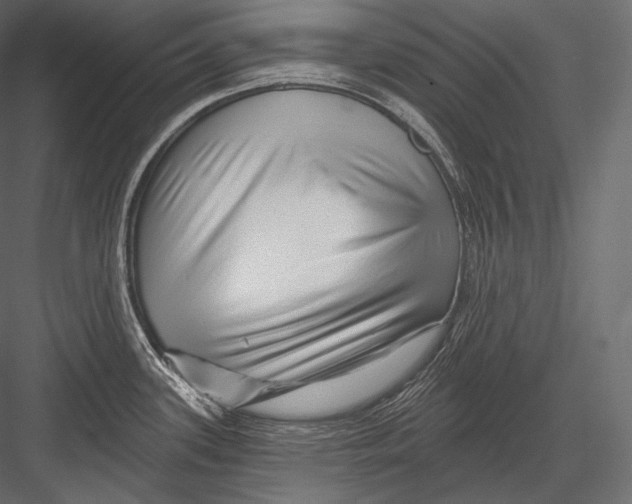 X0000082961339200702222330