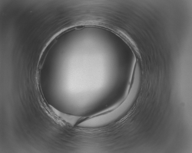 X0000082961340200702222330