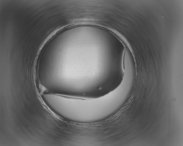 X0000082961341200702222330