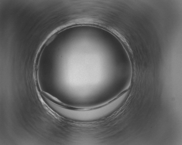 X0000082961342200702222330