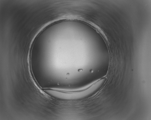 X0000082961343200702222330