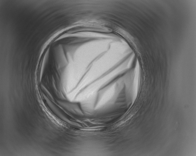 X0000082961344200702222330