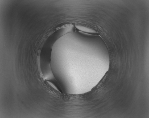 X0000082961345200702222329