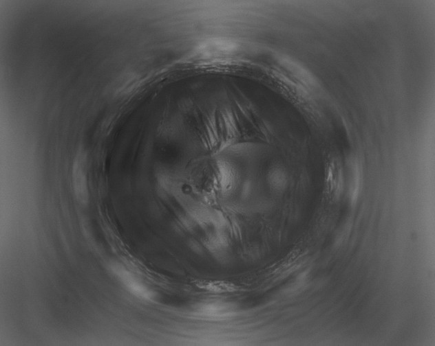 X0000082961348200702222329