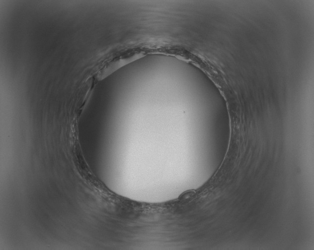 X0000082961349200702222329