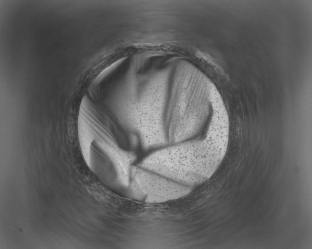 X0000082961350200702222329