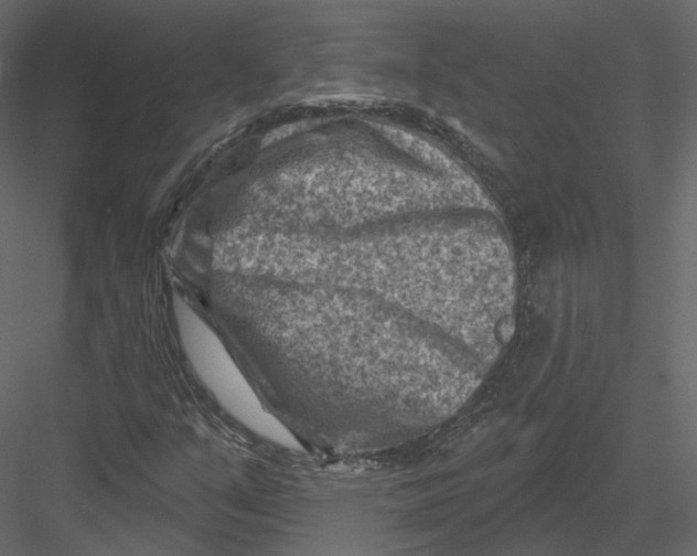 X0000082961351200702222329