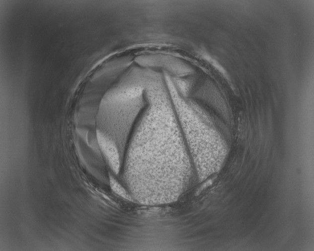 X0000082961352200702222329