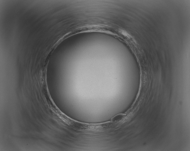 X0000082961353200702222329