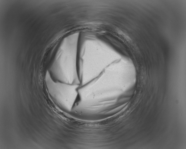 X0000082961354200702222329