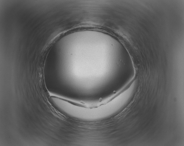 X0000082961355200702222329