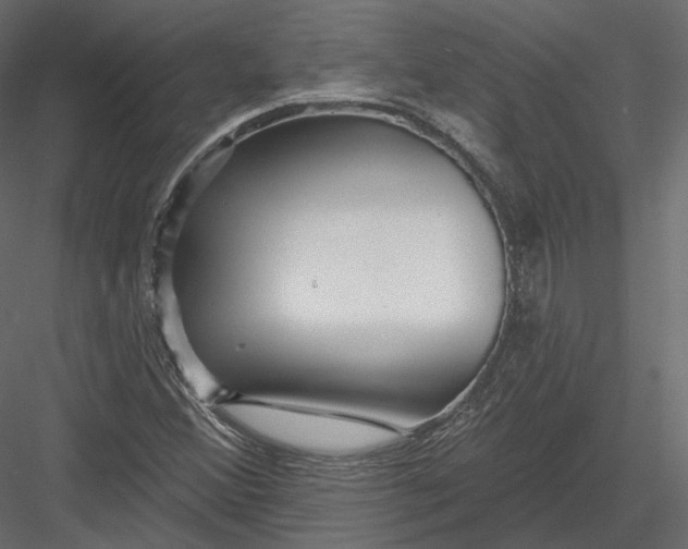 X0000082961356200702222329