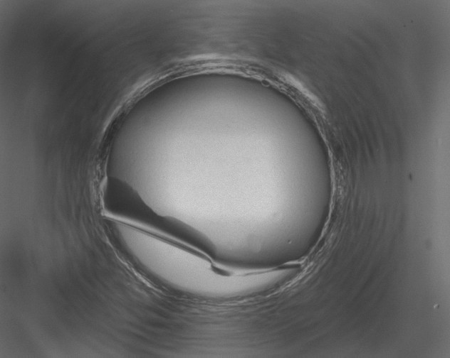 X0000082961357200702222329