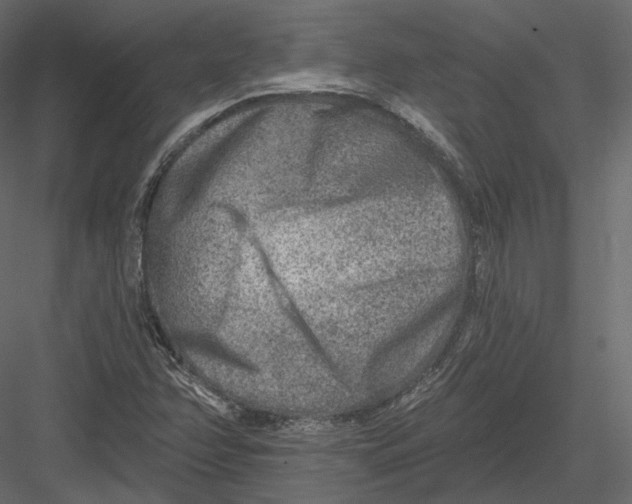 X0000082961358200702222329