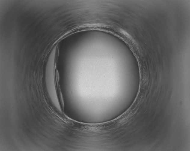 X0000082961361200702222329