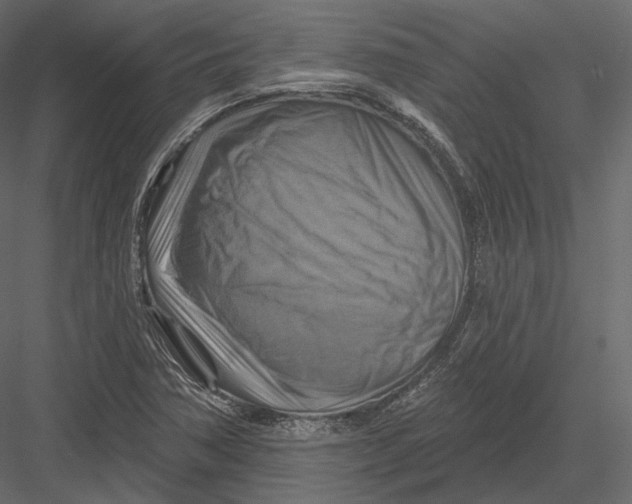 X0000082961362200702222329