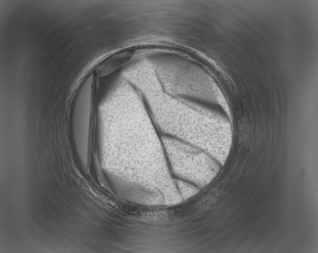 X0000082961363200702222329