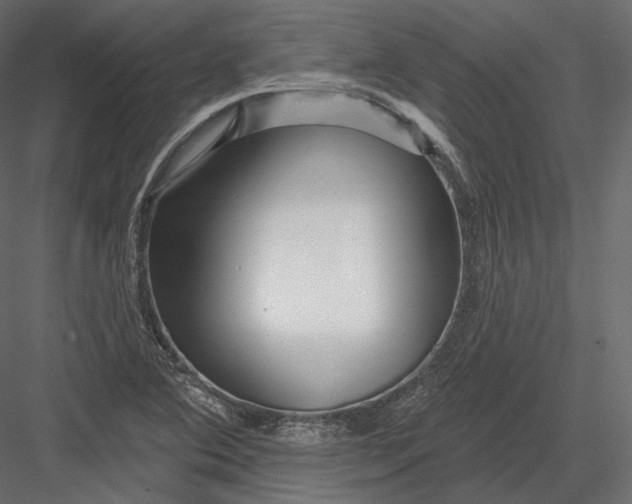 X0000082961364200702222329