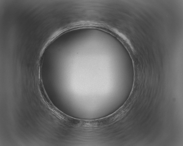 X0000082961365200702222329