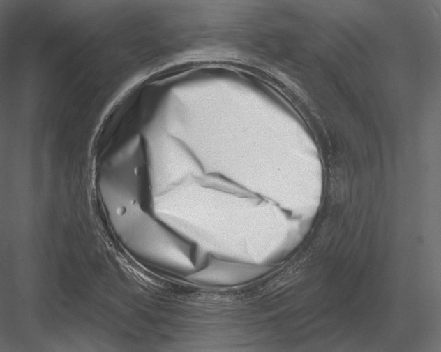 X0000082961366200702222329