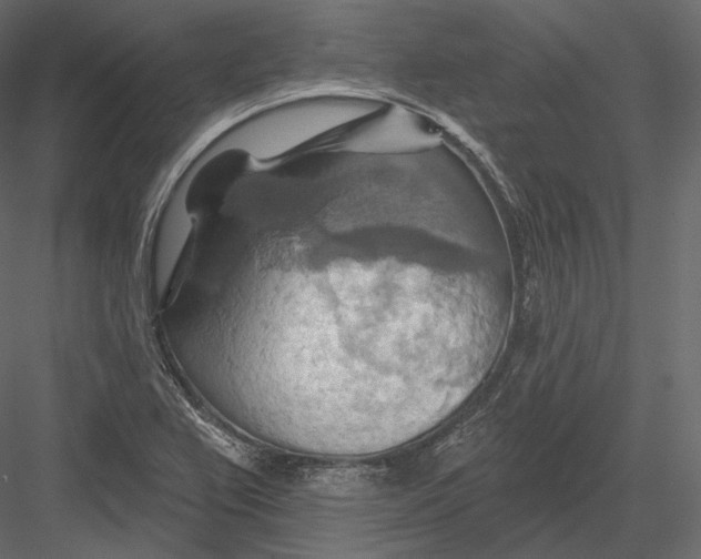 X0000082961367200702222329