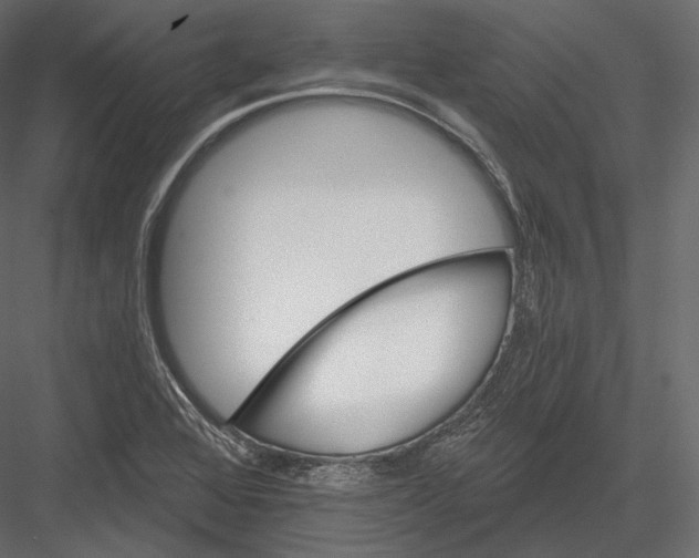 X0000082961368200702222329