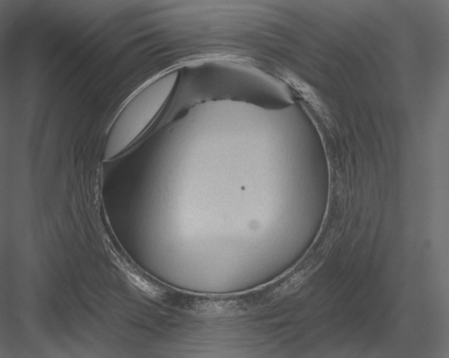 X0000082961369200702222329