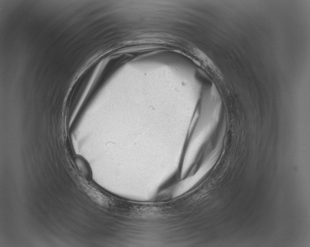 X0000082961370200702222329