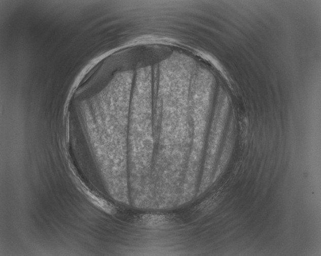 X0000082961371200702222329