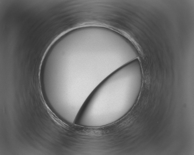 X0000082961372200702222328