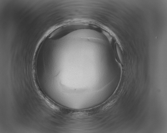 X0000082961373200702222328