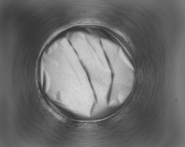 X0000082961374200702222328