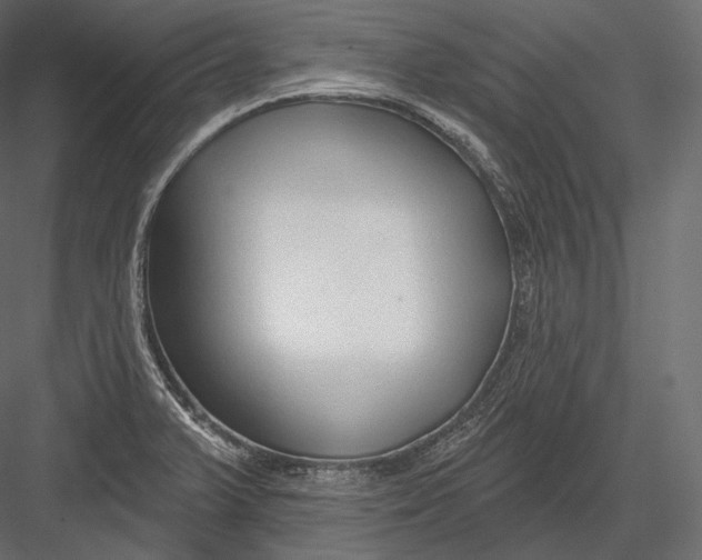 X0000082961375200702222328