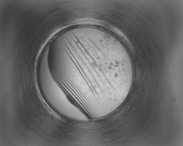 X0000082961376200702222328