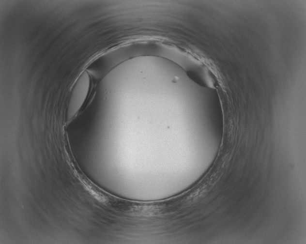 X0000082961377200702222328