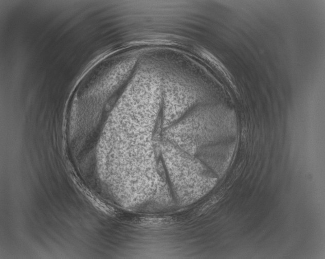 X0000082961378200702222328