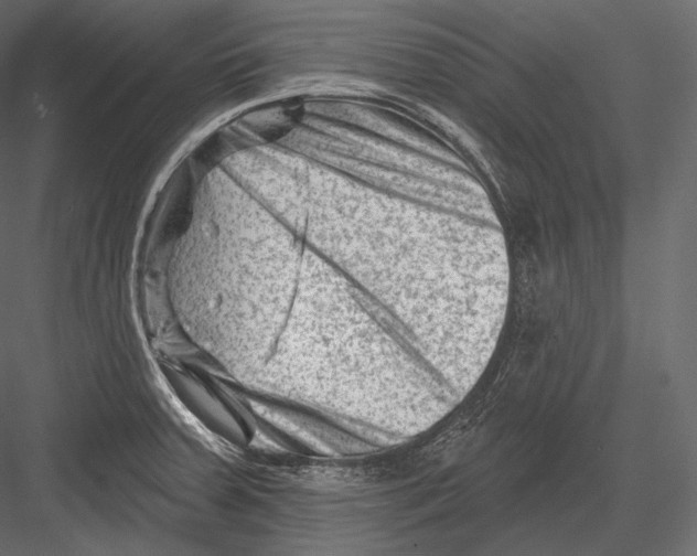 X0000082961379200702222328