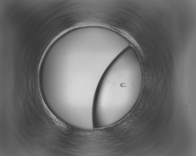 X0000082961380200702222328