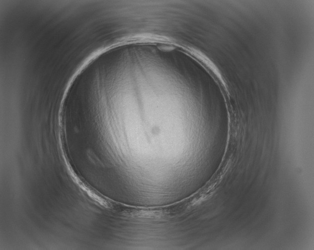 X0000082961381200702222328