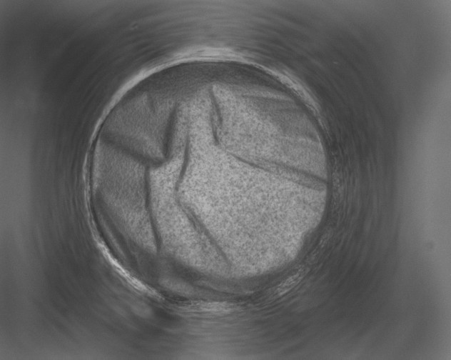 X0000082961382200702222328